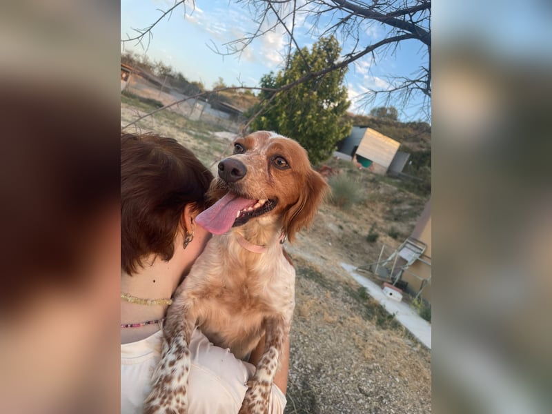 Linda, treu, liebenswert und voller Hoffnung