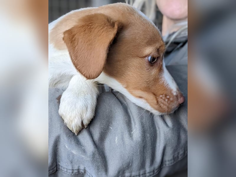 Anastasia – klein, tapsig und bereit fürs große Glück