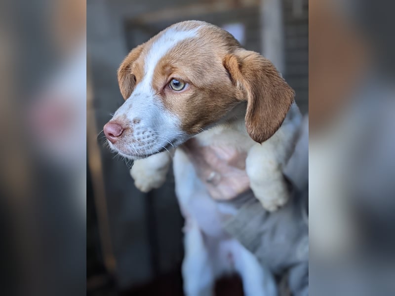 Anastasia – klein, tapsig und bereit fürs große Glück