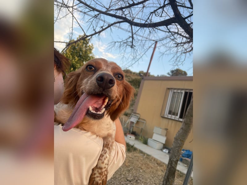 Linda, treu, liebenswert und voller Hoffnung