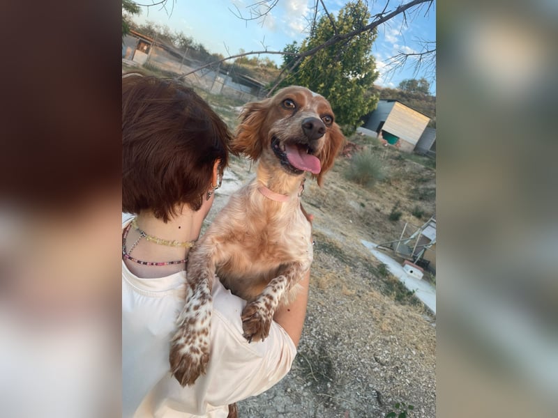 Linda, treu, liebenswert und voller Hoffnung