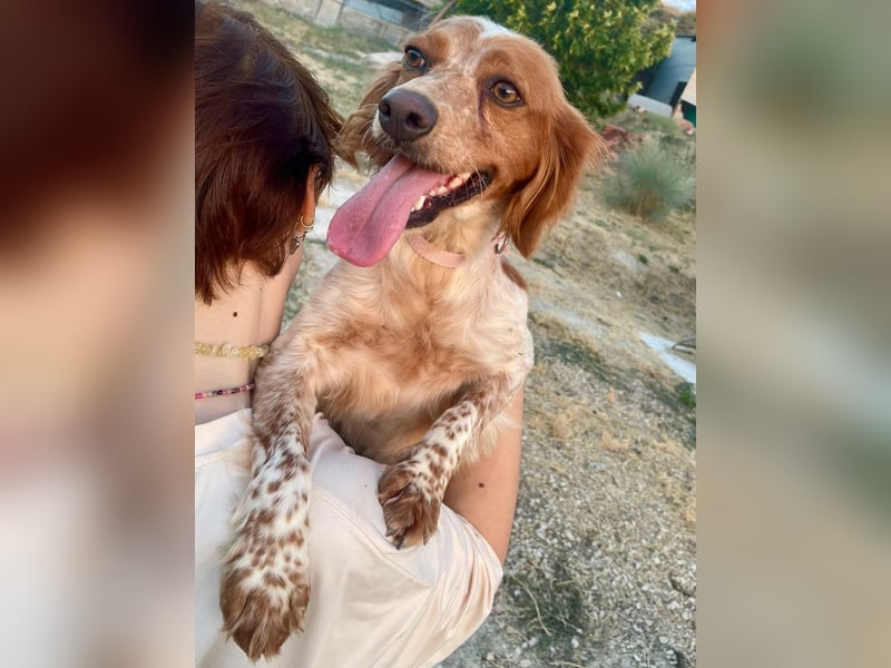 Linda, treu, liebenswert und voller Hoffnung