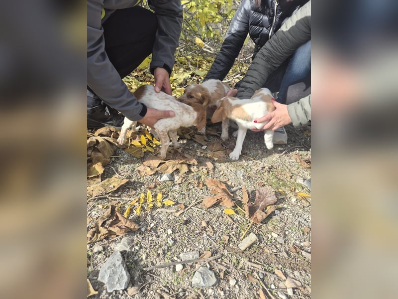 Anastasia – klein, tapsig und bereit fürs große Glück