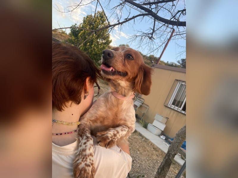 Linda, treu, liebenswert und voller Hoffnung