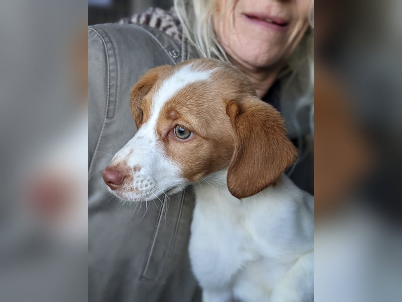 Anastasia – klein, tapsig und bereit fürs große Glück