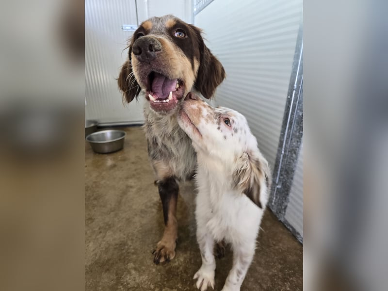 Lello: endlich durchstarten