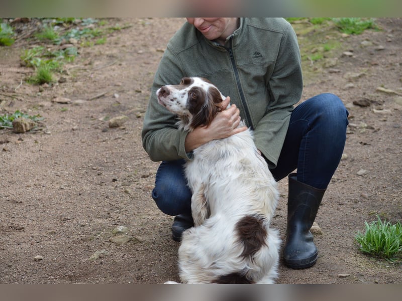 CARLOTTA - verschmuste Schönheit