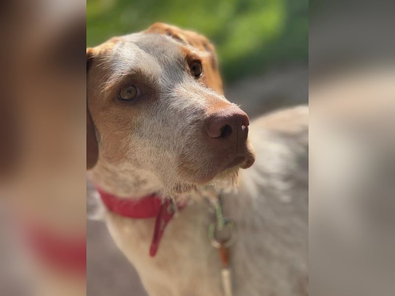 Zoe, sucht ihre Herzensmenschen