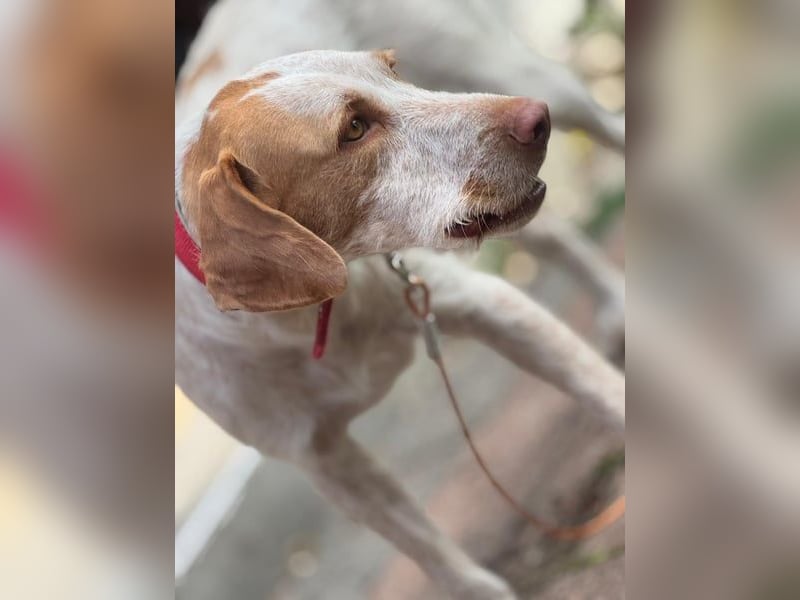 Zoe, sucht ihre Herzensmenschen