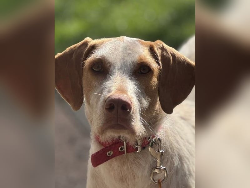 Zoe, sucht ihre Herzensmenschen