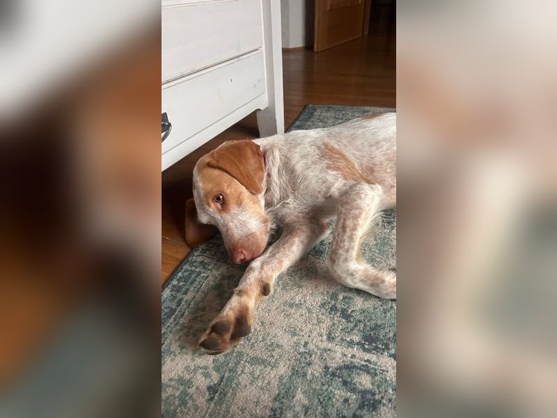 Zoe, sucht ihre Herzensmenschen