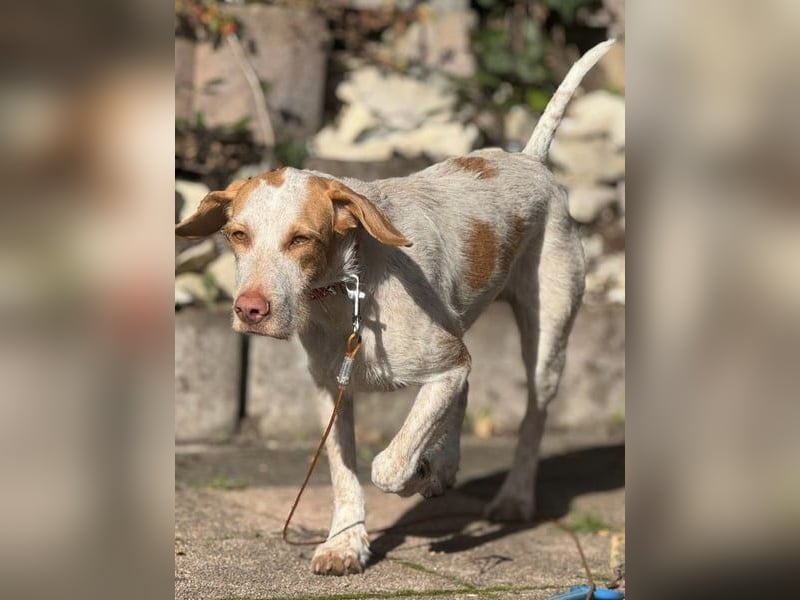 Zoe, sucht ihre Herzensmenschen