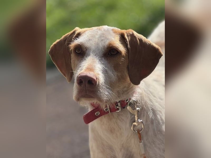 Zoe, sucht ihre Herzensmenschen