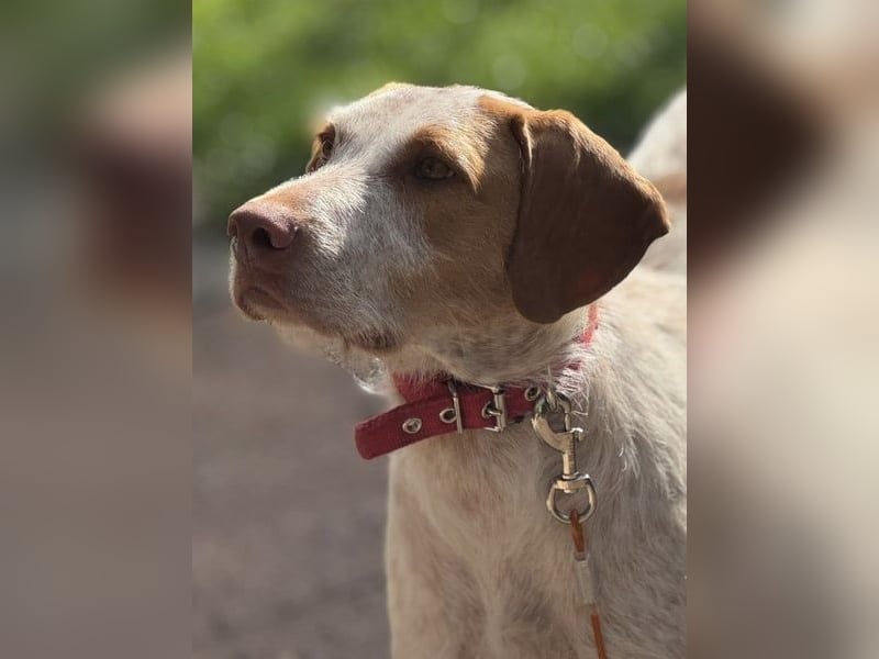 Zoe, sucht ihre Herzensmenschen