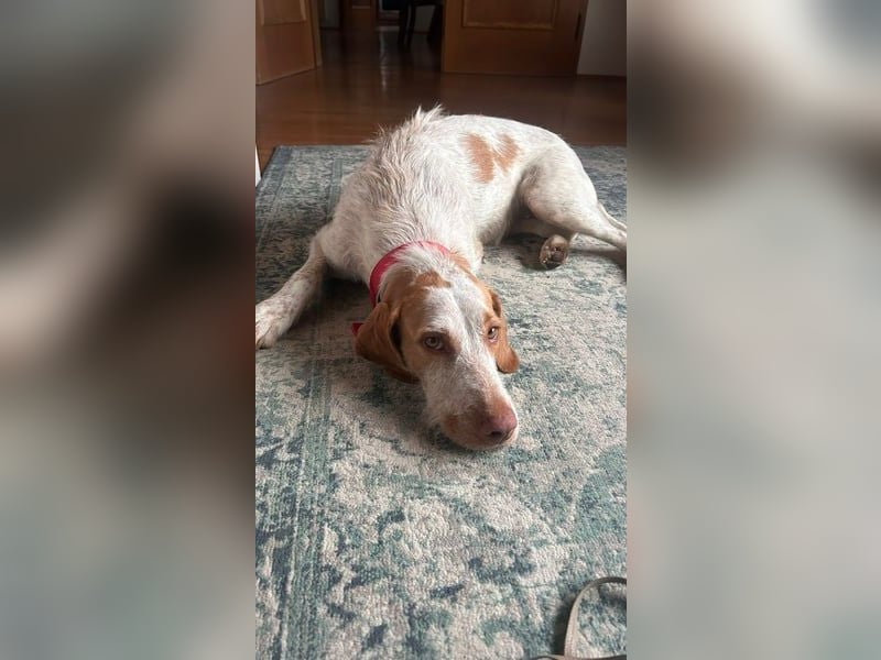 Zoe, sucht ihre Herzensmenschen