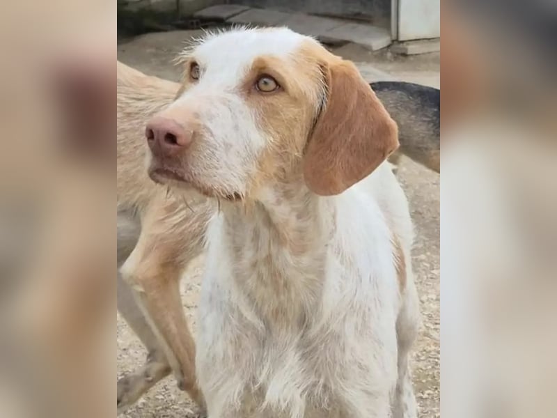 Notfall, Zoe muss dringend umziehen