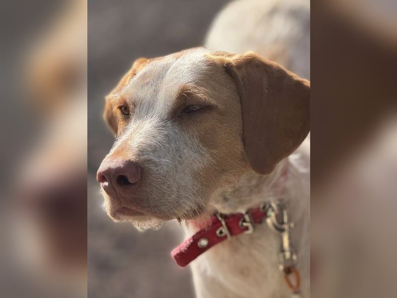 Zoe, sucht ihre Herzensmenschen