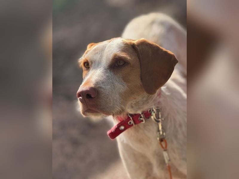 Zoe, sucht ihre Herzensmenschen