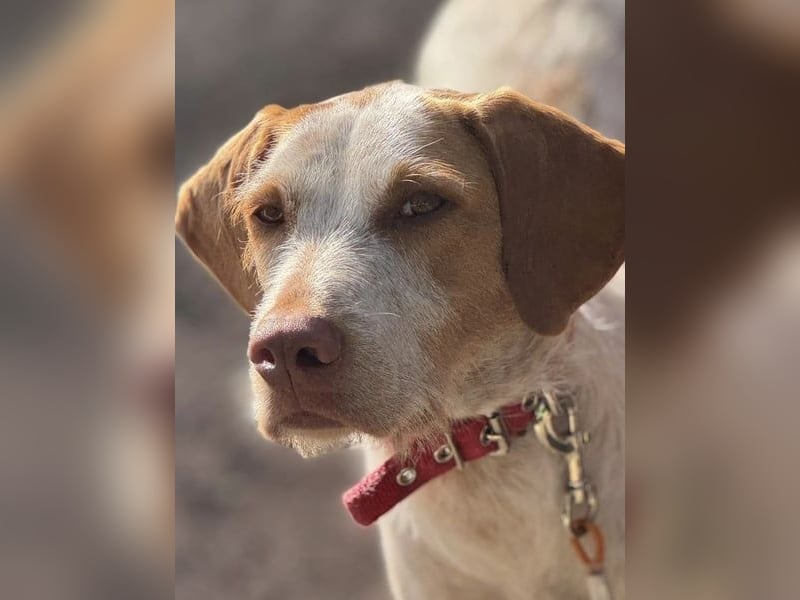 Zoe, sucht ihre Herzensmenschen