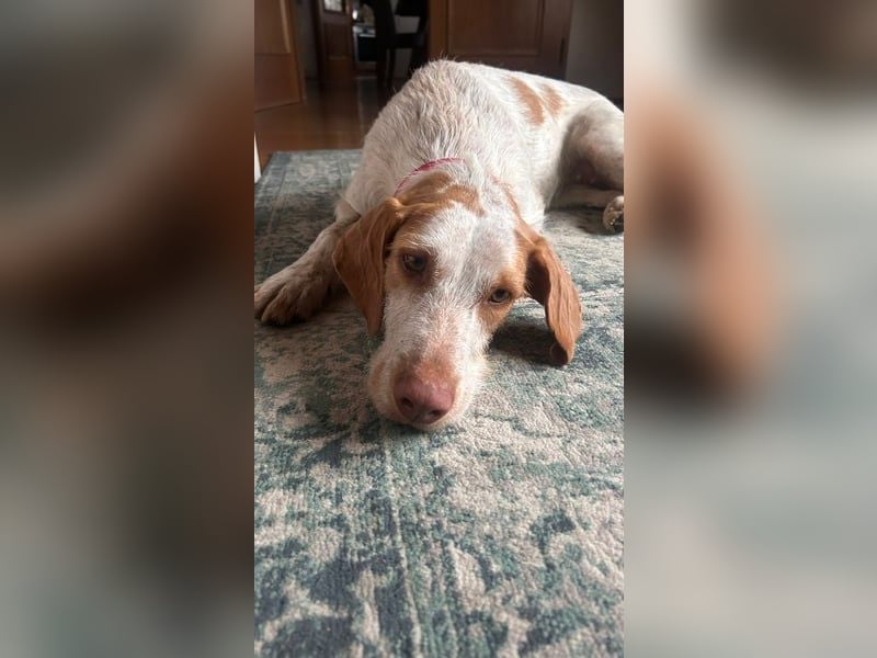 Zoe, sucht ihre Herzensmenschen