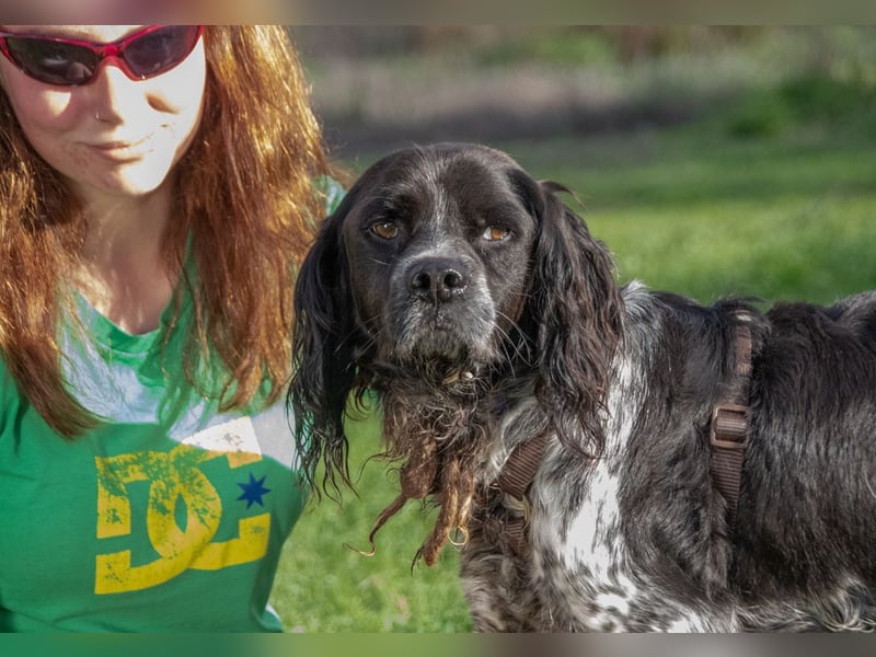 Xico – ein unkomplizierter Begleiter