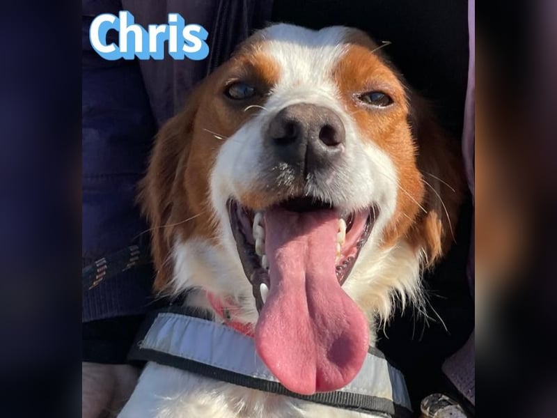 Chris - freundlich und menschenbezogen