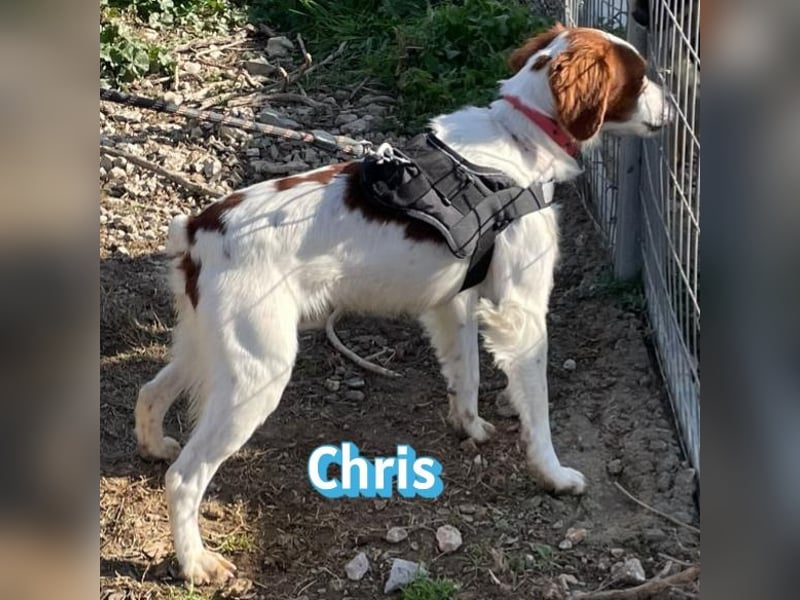 Chris - freundlich und menschenbezogen