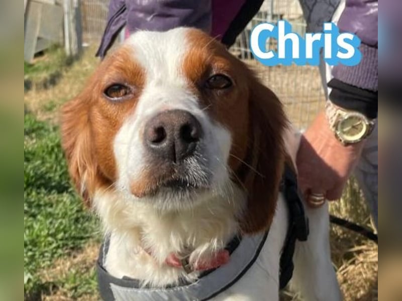 Chris - freundlich und menschenbezogen