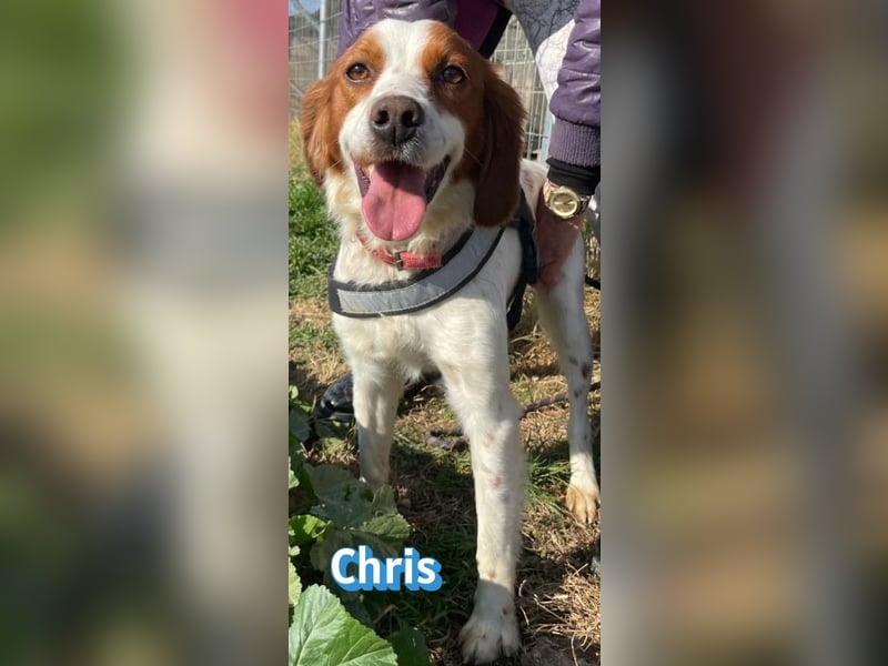 Chris - freundlich und menschenbezogen