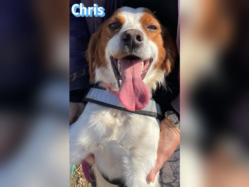 Chris - freundlich und menschenbezogen