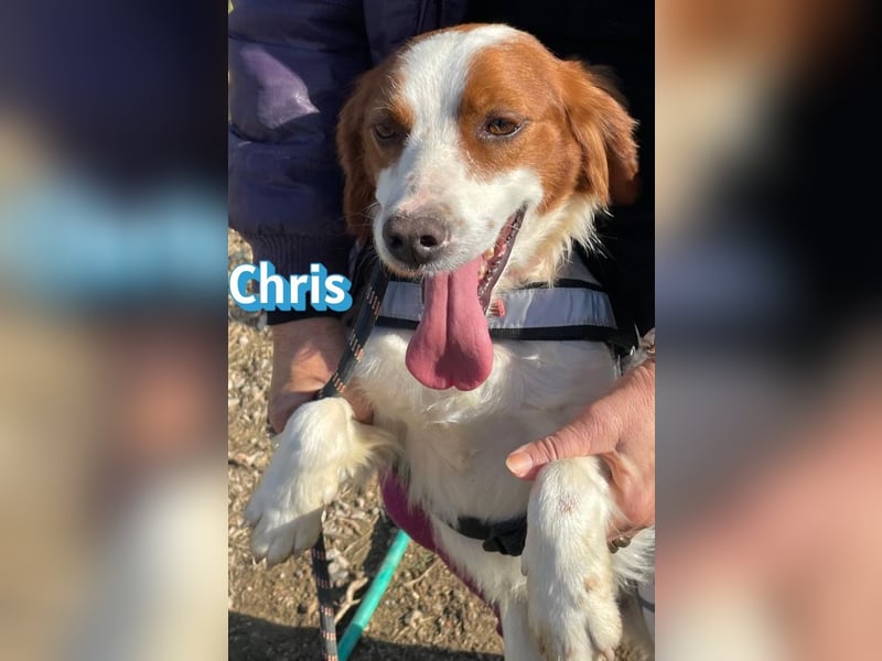 Chris - freundlich und menschenbezogen