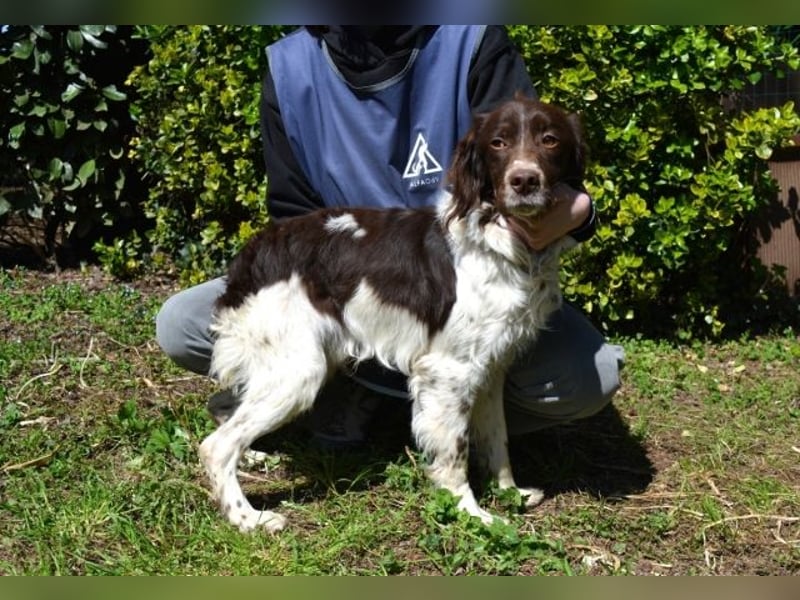 Hopi - Und wenn alles leer ist?