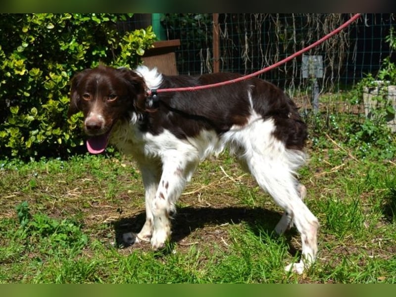 Hopi - Und wenn alles leer ist?