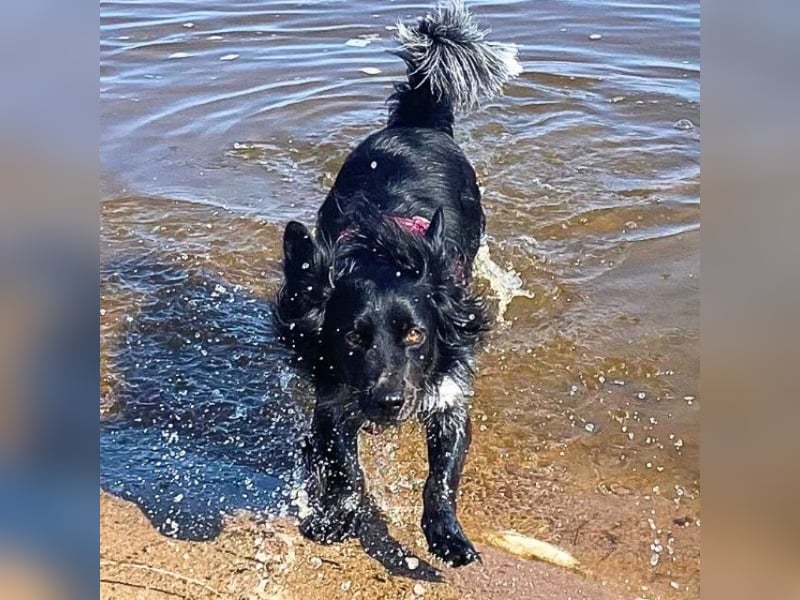 Wesley - wann geht es los?