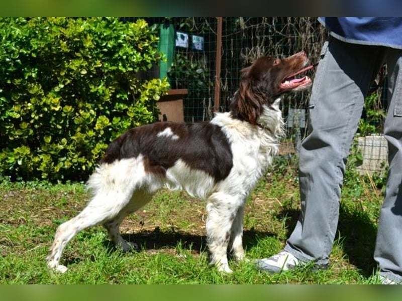 Hopi - Und wenn alles leer ist?