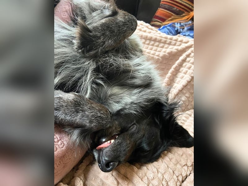 Wesley - wann geht es los?