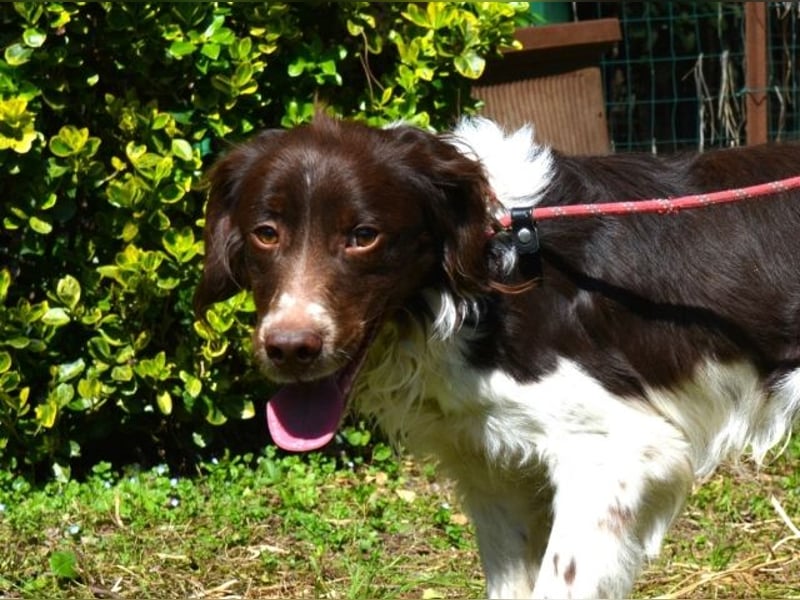 Hopi - Und wenn alles leer ist?