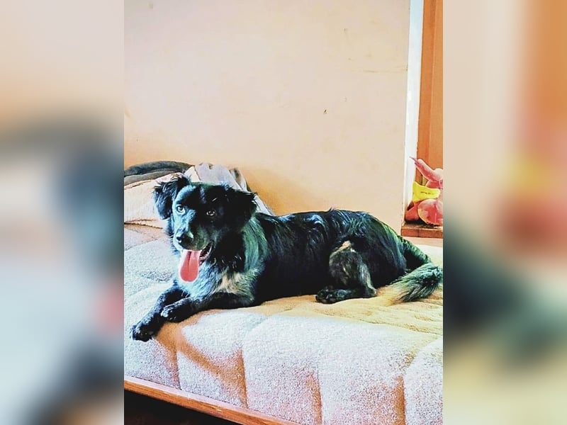 Wesley - wann geht es los?