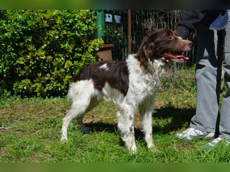 Hopi - Und wenn alles leer ist?