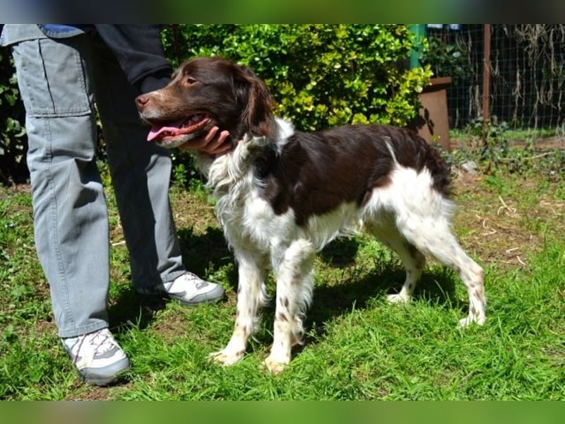 Hopi - Und wenn alles leer ist?