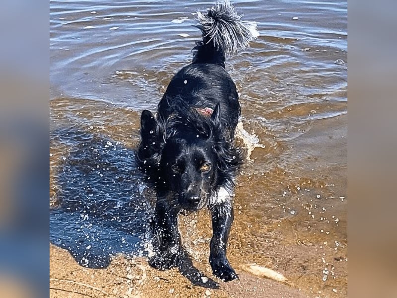 Wesley - wann geht es los?