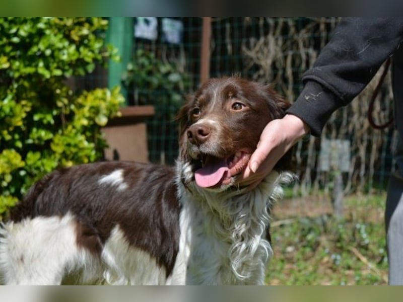 Hopi - Und wenn alles leer ist?