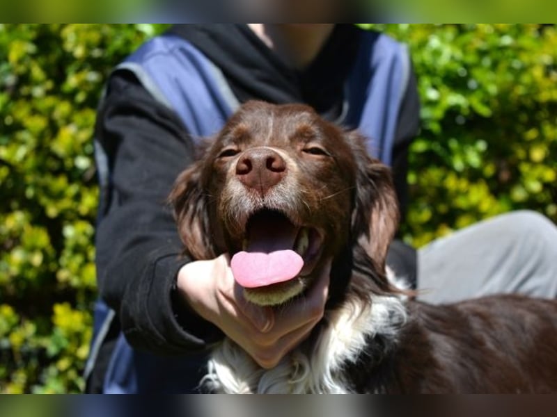 Hopi - Und wenn alles leer ist?