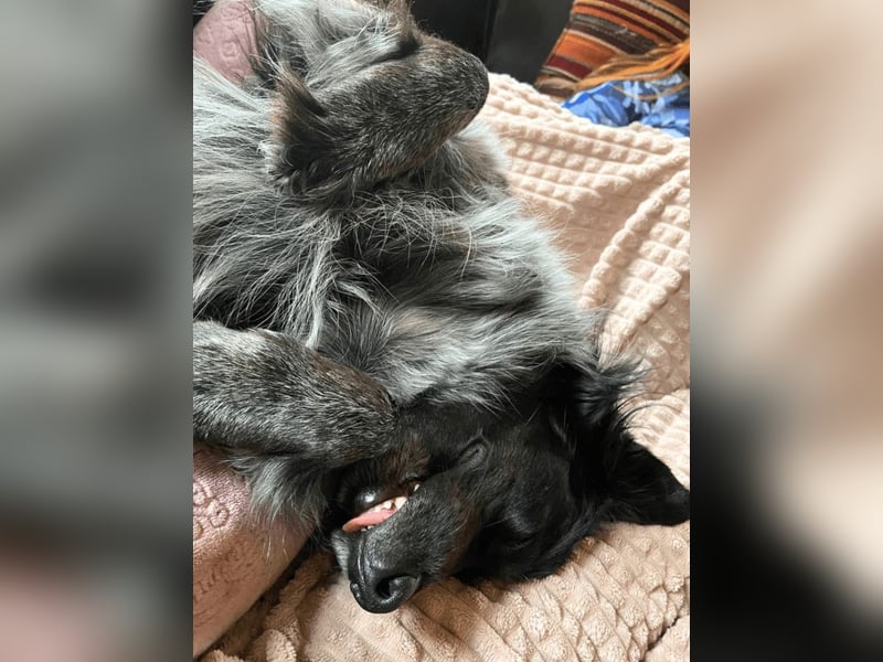 Wesley - wann geht es los?