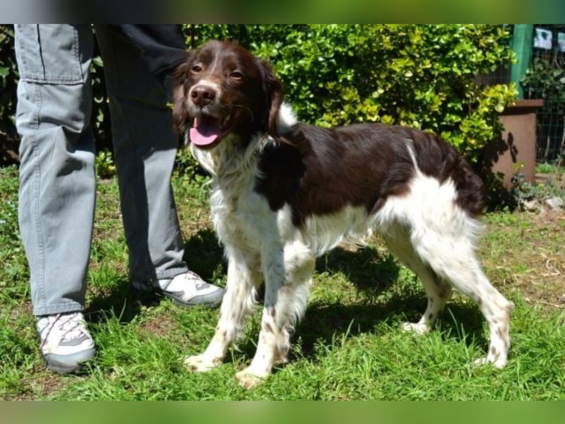 Hopi - Und wenn alles leer ist?