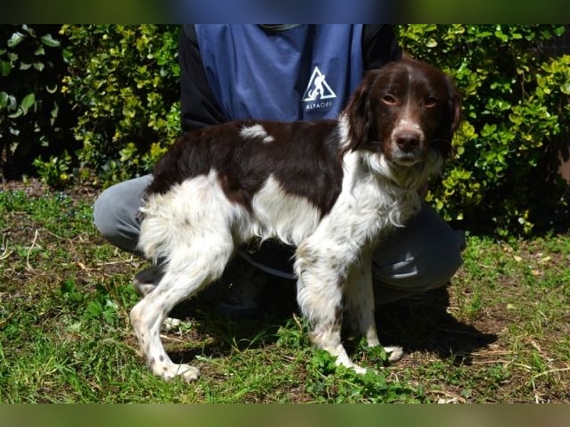 Hopi - Und wenn alles leer ist?