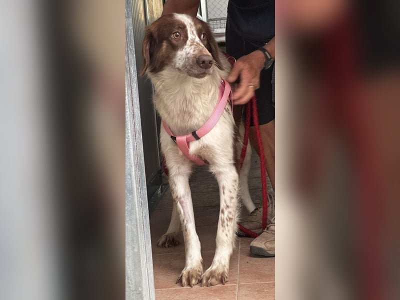 Cugina sucht auf leisen Sohlen ihre Menschen für immer