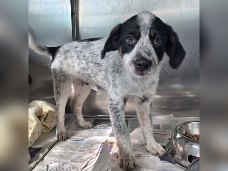 Oceano - Augen mit so viel Tiefe wie der Ozean