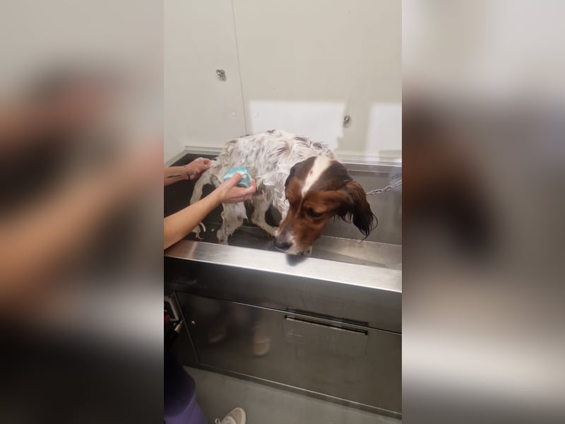 Brex: was will man mehr?