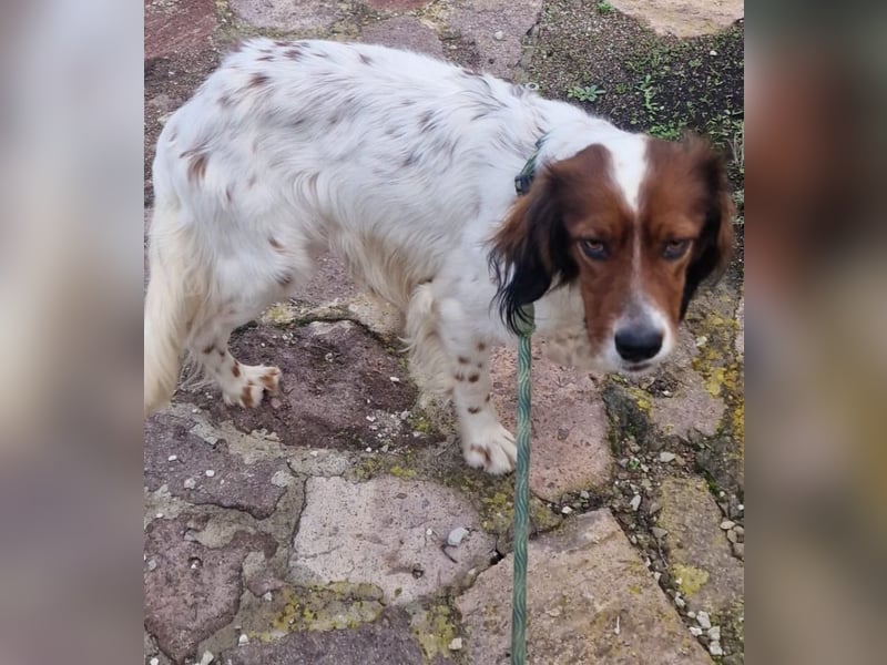 Brex: was will man mehr?